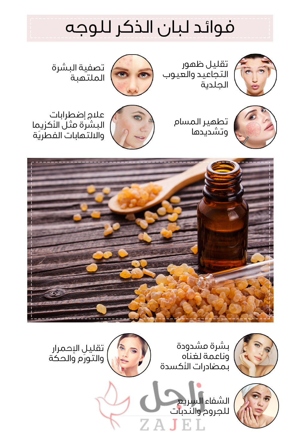 زاجل الل - زاجل نيوز