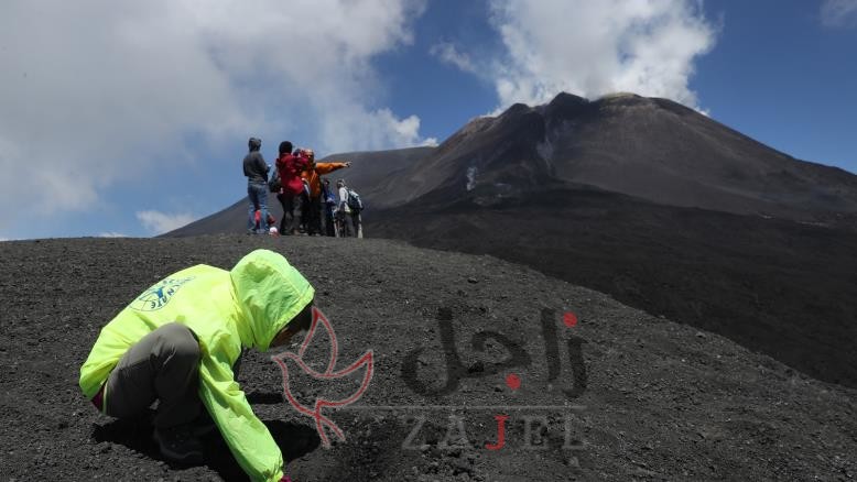 زاجل المنوعااات ل - زاجل نيوز