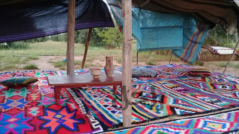 زاجل المنوعاتا را 1 - زاجل نيوز