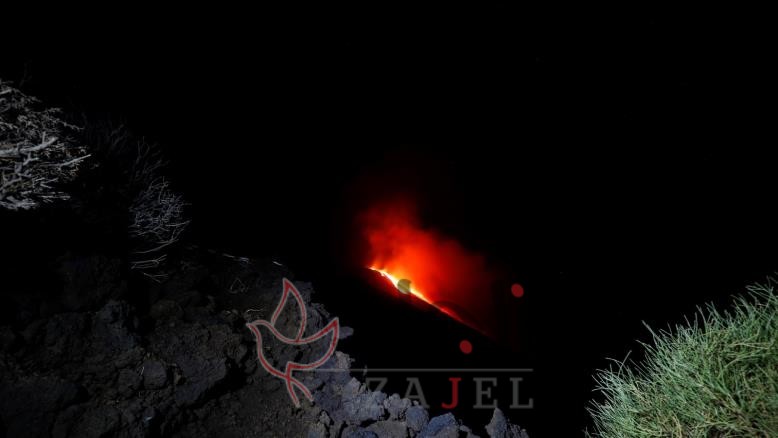 زاجل المنوووووووعات - زاجل نيوز