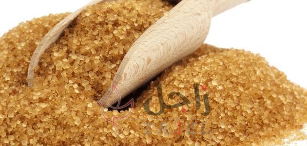 زاجل بب - زاجل نيوز