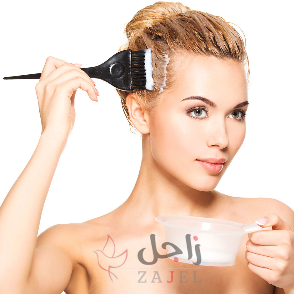 زاجل بل - زاجل نيوز