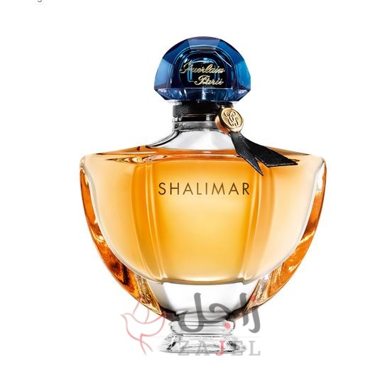 زاجل لجمال - زاجل نيوز