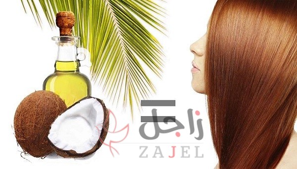 زاجل ىاةةون - زاجل نيوز