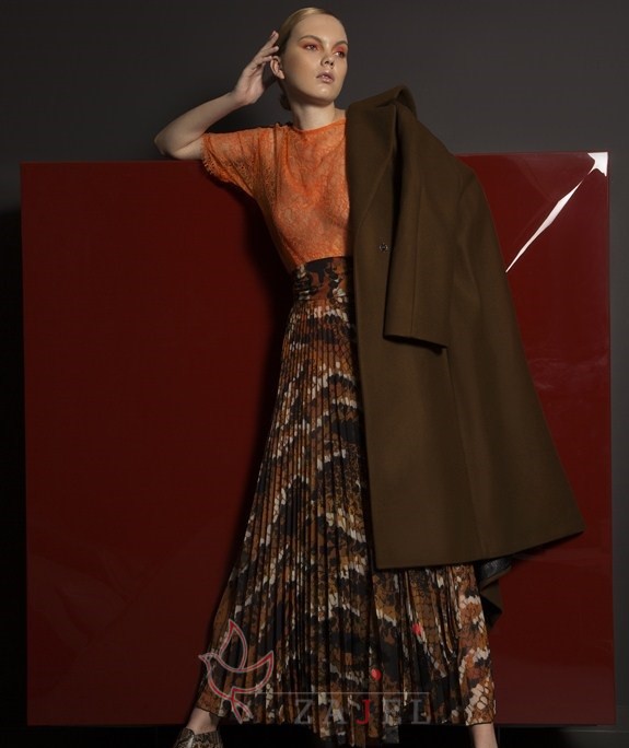 زاجل 3 - زاجل نيوز