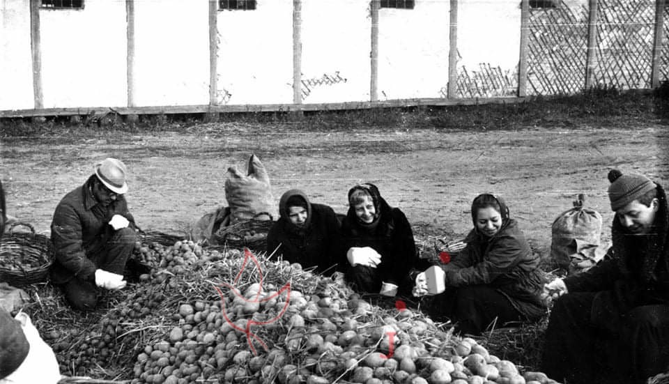 received 224130962205296 - زاجل نيوز