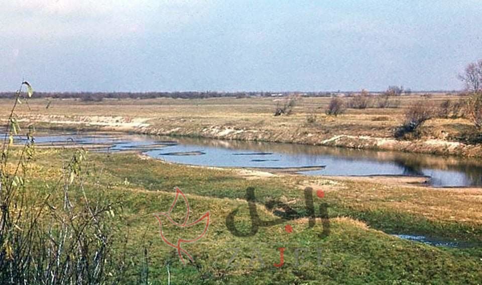 received 254641292588726 - زاجل نيوز