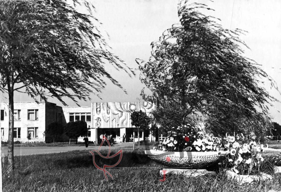 received 269029621162349 - زاجل نيوز