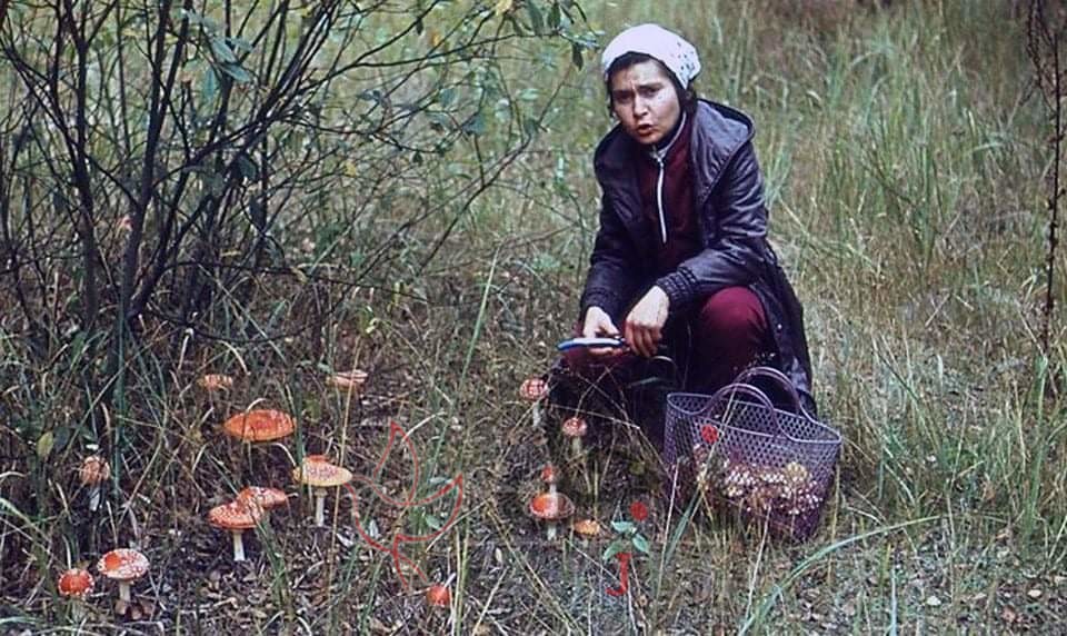 received 855688061581288 - زاجل نيوز