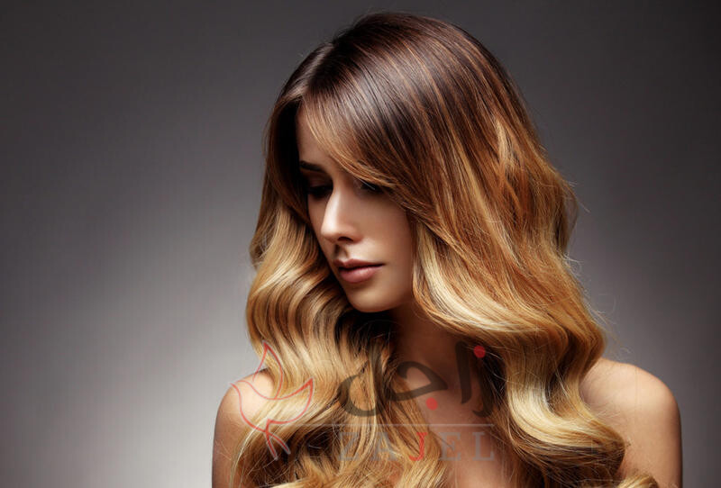 7048891 67126007 - زاجل نيوز