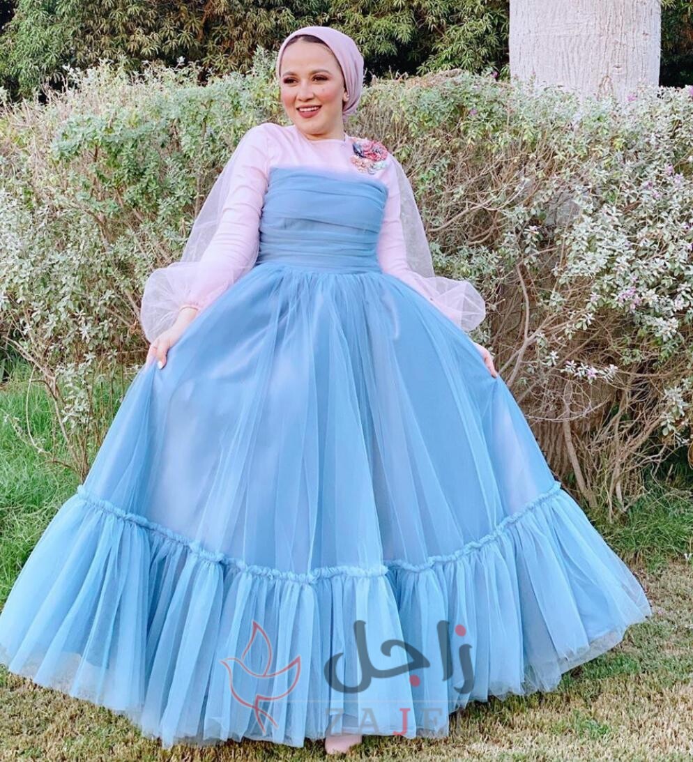 81 0 - زاجل نيوز