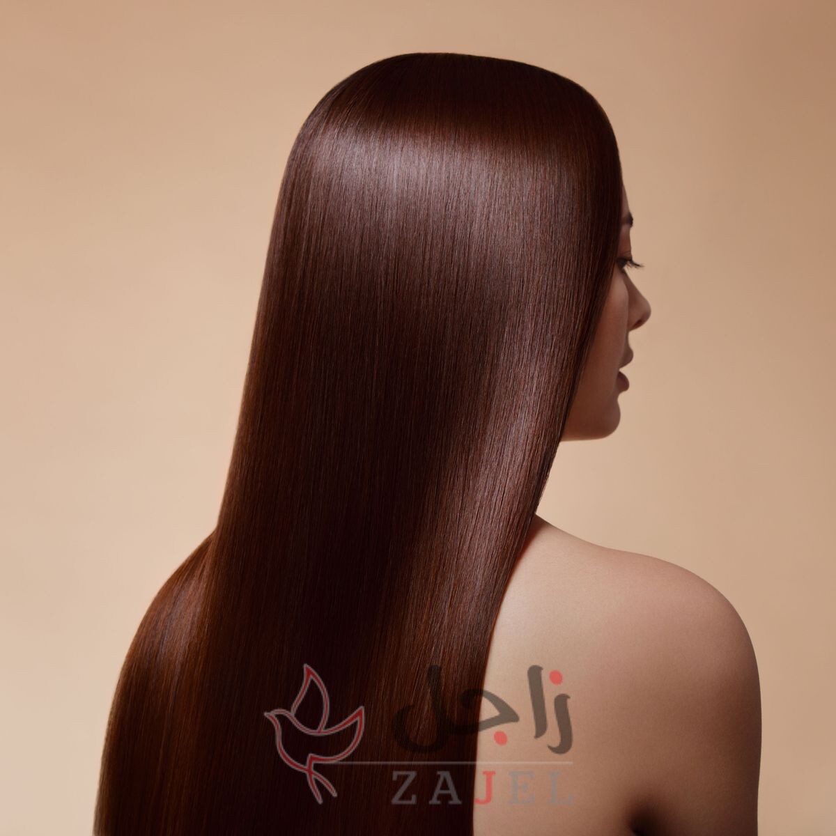 kitan2 - زاجل نيوز