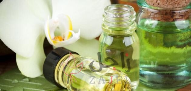 zyt lnrjyl llshr - زاجل نيوز