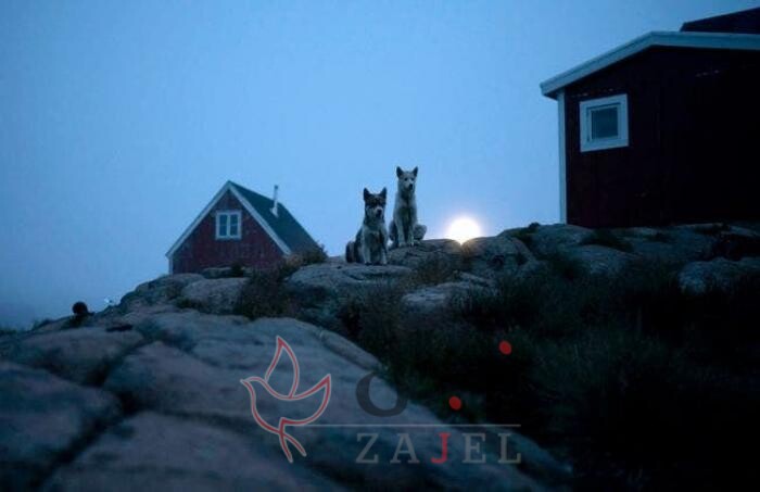 image 2 4 - زاجل نيوز