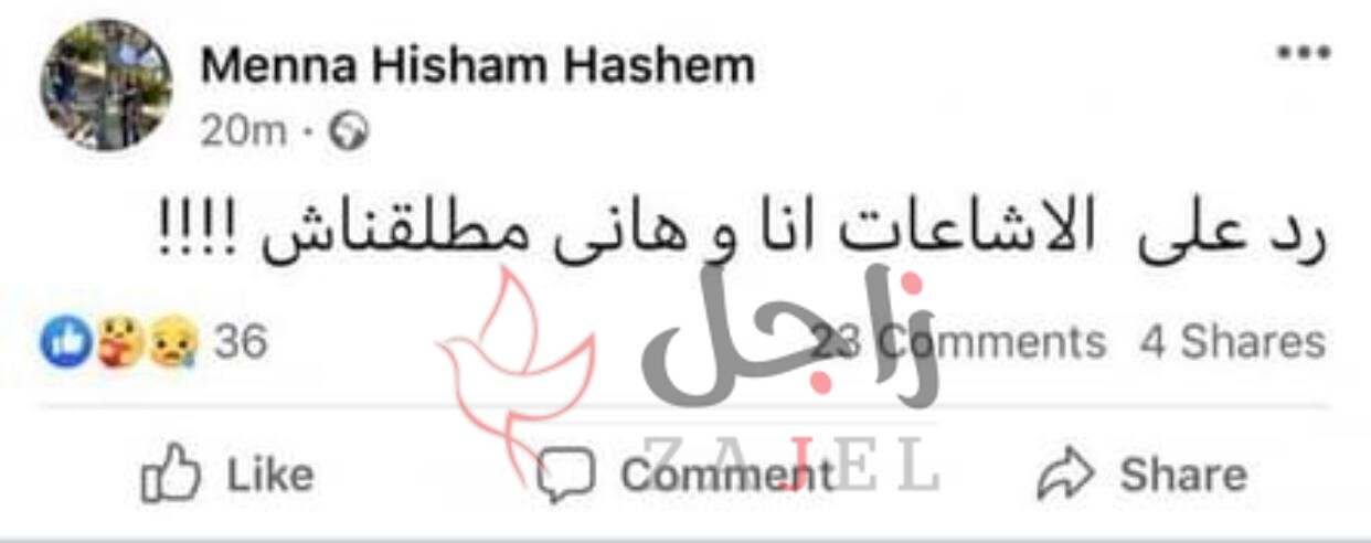 14  - زاجل نيوز