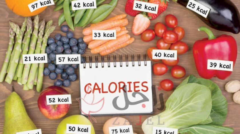 1548761939079495300 - زاجل نيوز