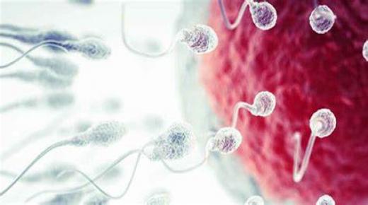 ما هو التلقيح الصناعي “IUI”؟