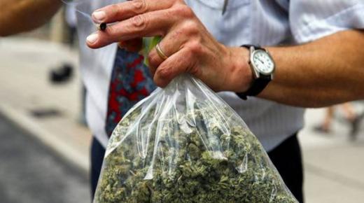 دراسة تكشف حقيقة تأثير الماريجوانا على القلب