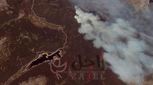 حفل للكشف عن نوع الجنين أدى الى  كارثة مدمرة  في أمريكا