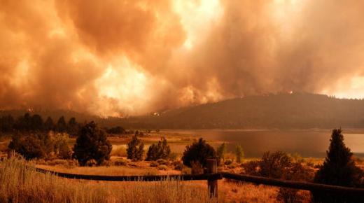 التنبؤ بحرائق الغابات برصد «تعرق» النباتات