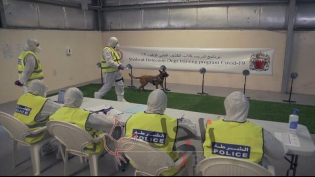 اطلاق خدمة الكلاب البوليسية في المنافذ للكشف عن الحالات المصابة في البحرين