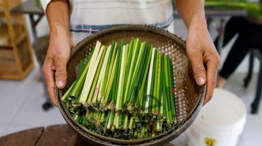 الشفاطة أو “الشاليمو”.. الآن تصنع من العشب كبديل عن البلاستيك