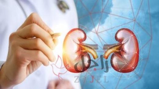 كيف تحافظ على صحة الكليتين وتحمى نفسك من المخاطر