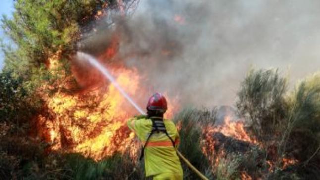 أوروبا تستعد لموسم صعب من حرائق الغابات بسبب أسوأ موجة جفاف فى التاريخ