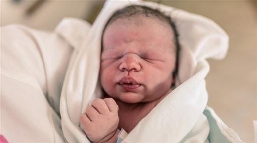 انخفاض عدد المواليد في أوروبا خلال كورونا