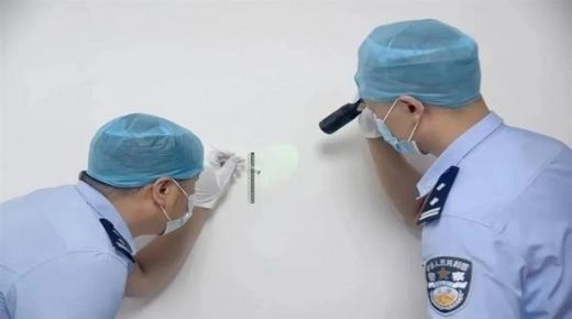 قتل بعوضة في مسرح الجريمة يساعد بالقبض على السارق