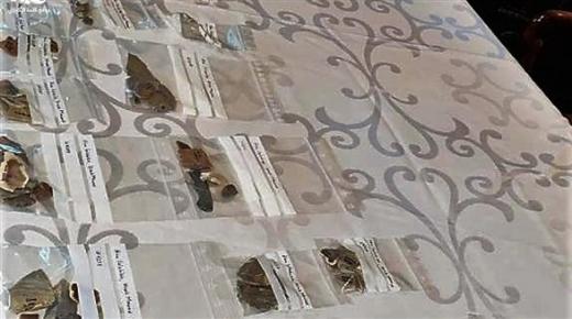 العراق يتسلم 125 قطعة أثريّة من ألمانيا