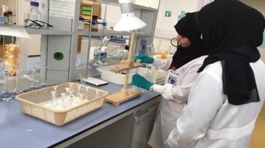 فريق بحثي إماراتي يبتكر منهجية جديدة للتنبؤ بالأوبئة