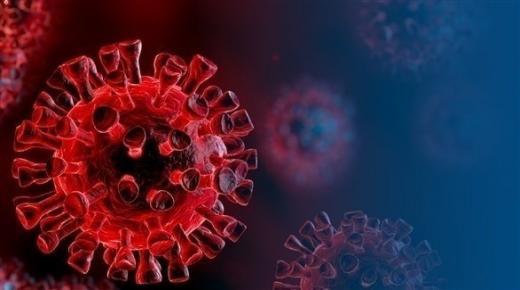 التدخين يزيد خطر مضاعفات كورونا