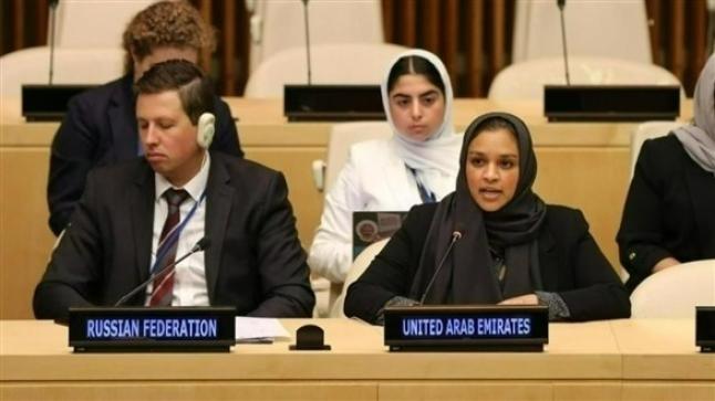 الإمارات تدعو إلى تعزيز الشراكات بين الأمم المتحدة والاتحاد الأفريقي