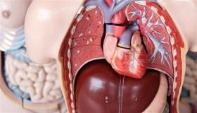 طبيب: حوالي 99% من حالات التهاب الكبد الوبائي C قابلة للشفاء