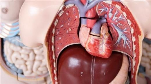 طبيب: حوالي 99% من حالات التهاب الكبد الوبائي C قابلة للشفاء