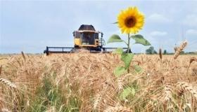 “اتفاق الحبوب”.. هل يصمد وينقذ العالم من “المجاعة المرتقبة”؟