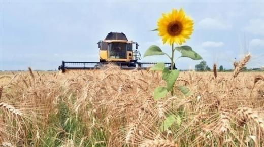 “اتفاق الحبوب”.. هل يصمد وينقذ العالم من “المجاعة المرتقبة”؟