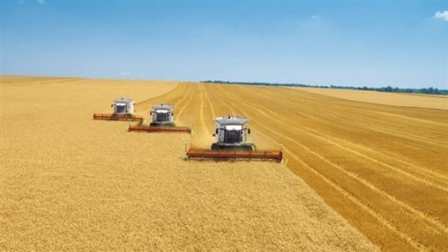 محصول الحبوب في أوكرانيا قد ينخفض إلى النصف