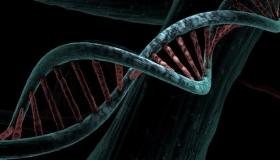 أخطاء جينية في هضم النحاس تسبب أمراضاً نادرة