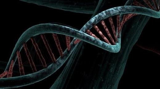 أخطاء جينية في هضم النحاس تسبب أمراضاً نادرة