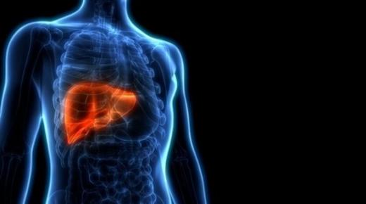 كشف جديد لآلية تلف الكبد بسبب السكري