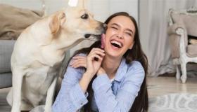 الكلاب تذرف دموع الفرح كالبشر