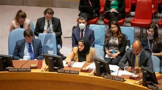 الإمارات تجدد موقفها الرافض لأي تدخلات أجنبية في سوريا