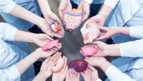 مصر تقيم أكبر مركز إقليمي لزراعة الأعضاء