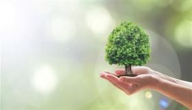 مبادرات طموحة جعلت الإمارات نموذجاً عالمياً في المحافظة على البيئة… تعرف عليها