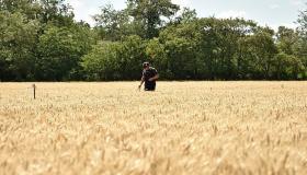 أوكرانيا تتوقّع تصدير أولى شحنات الحبوب “هذا الأسبوع”