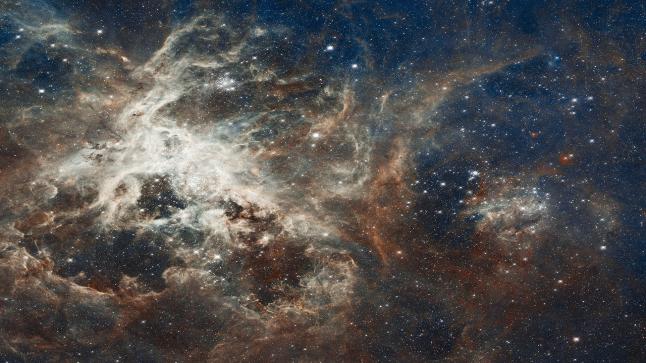 علماء فلك النظر في كوكبة تعج بالنجوم في سديم الرتيلاء- وهو سحابة ضخمة من الغاز والغبار بجوار مجرتنا- ليخرجوا بفهم جديد لآليات ميلاد النجوم مع تمكنهم من رؤية صورة مبهرة للكون.