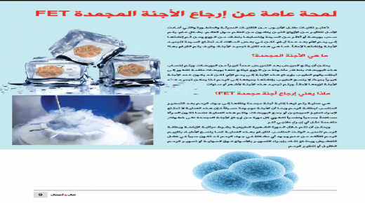 لمحة عامة عن إرجاع الأجنة المجمدة FET