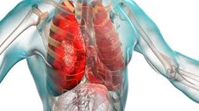 تقنية طبية تفتح آفاق جديدة لفهم علاج الأمراض التنفسية